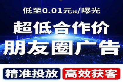 成功SEM服务案例分析报告